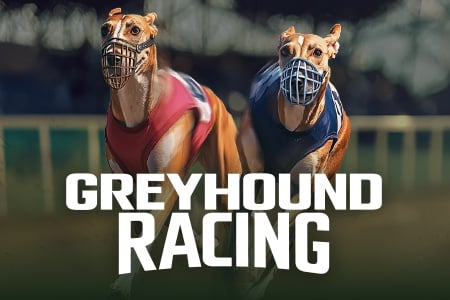 Greyhound Racing
